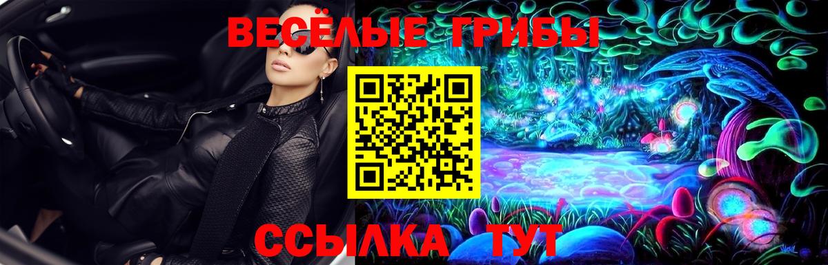 Сургут  Галлюциногенные грибы Psilocybe  Вход с VPN 