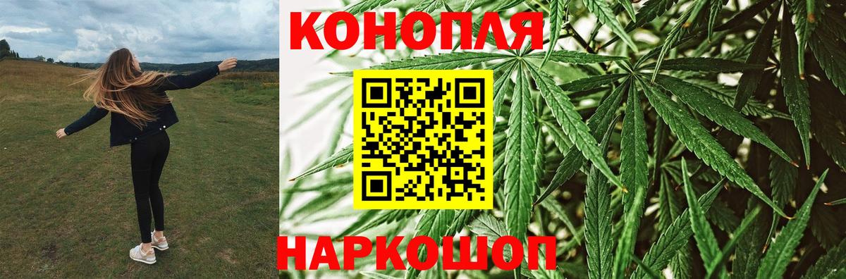 Шишки марихуана семена  Конопля Bruce Banner  Канабис планчик  Бошки Шишки VHQ  Вход с VPN  Сургут 
